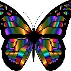 Meet your Posher, Bridgitte